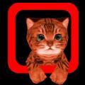 小猫模拟器旧版本