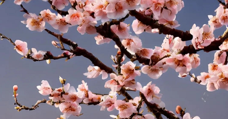 意间ai绘画关键词推荐 2022最新关键词分享