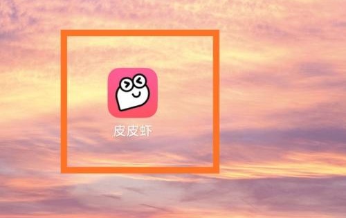 皮友是什么意思 皮友含义解析