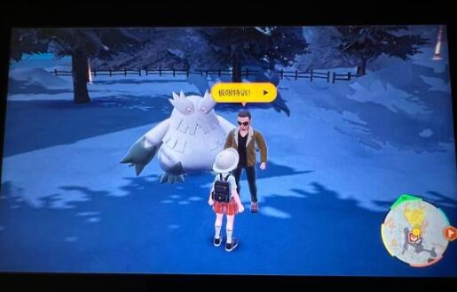 宝可梦朱紫银色王冠哪里买