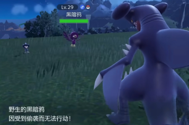 宝可梦朱紫闪光黑暗鸦在哪刷 黑暗鸦闪捕捉位置