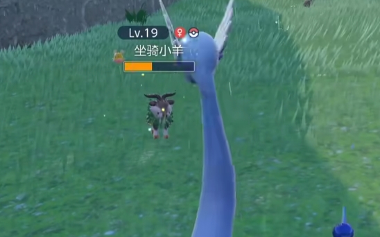 宝可梦朱紫努力值怎么洗