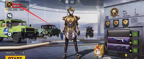 绝地求生国际服兑换码在哪里输入 