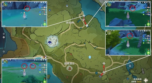 原神冰雾花花蕊位置分布图及采集方式