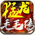 猛龙毛毛传