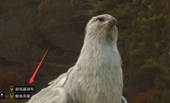 霍格沃茨之遗多少级有坐骑