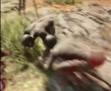 森林之子全怪物打法一览