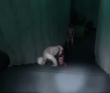 森林之子全怪物打法一览