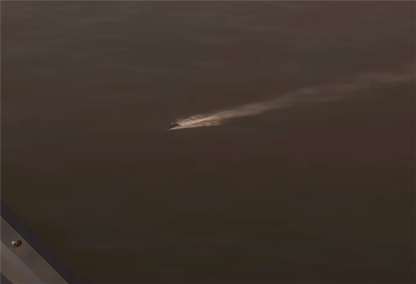 生化危机4重制版结局是什么意思 结局解析