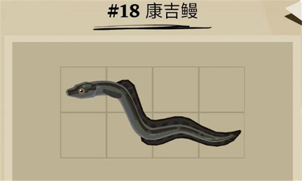 渔帆暗涌康吉鳗鱼在哪里 康吉鳗鱼位置