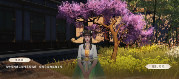 天龙八部2宠物繁殖次数怎么看