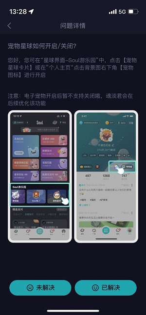 soul宠物可以关闭吗