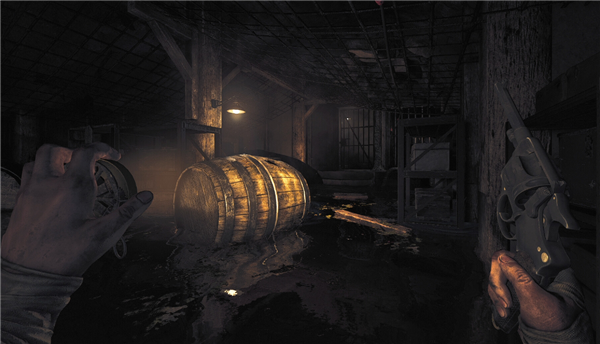 失忆症地堡什么时候发售上线