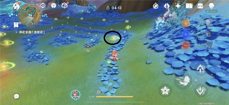 原神向于连展示特别的景色任务怎么做 向于连展示特别景色任务攻略