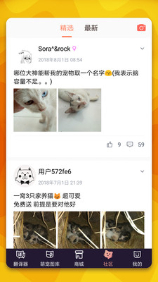 猫语翻译器2