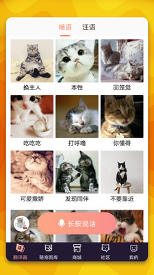 猫语翻译器4