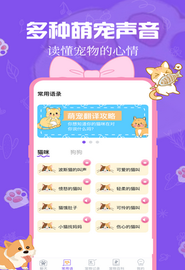 猫狗翻译器3