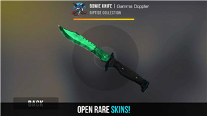 csgo皮肤开箱模拟器5