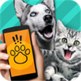 pet translator软件