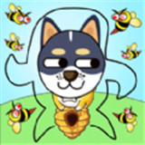 蜜蜂找狗狗