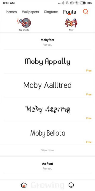 小米个性主题商店2