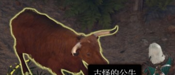 博德之门3古怪的公牛杀不杀 博德之门3古怪的公牛介绍