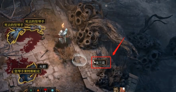 博德之门3夜兰花在哪里 博德之门3夜兰花位置讲解