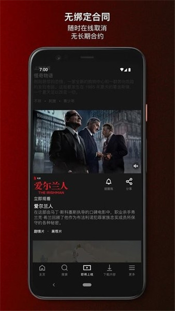 奈飞netflix2