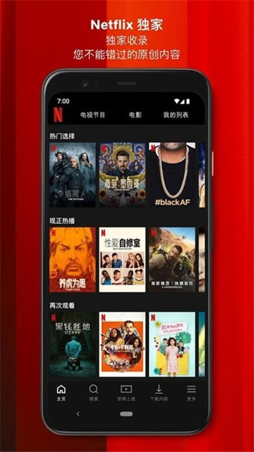 奈飞netflix3