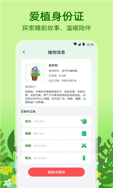 植物天气1