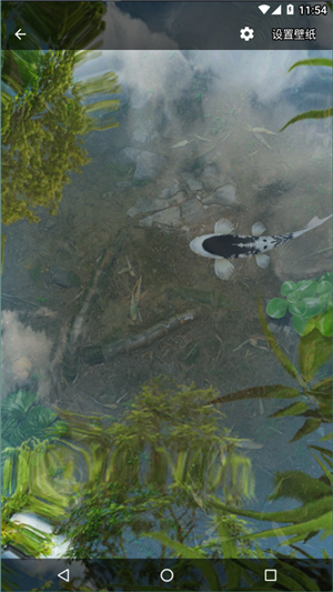 鱼池动态壁纸中文版5
