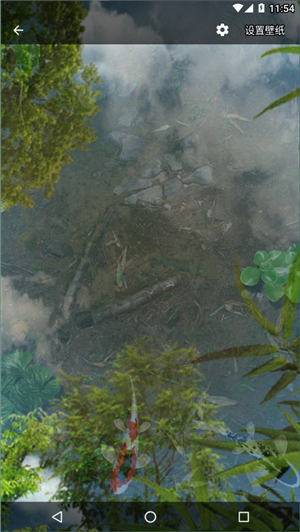 鱼池动态壁纸中文版6