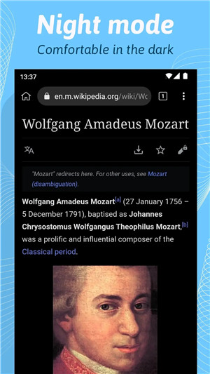 kiwibrowser浏览器1