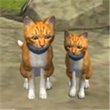 可爱小猫模拟器