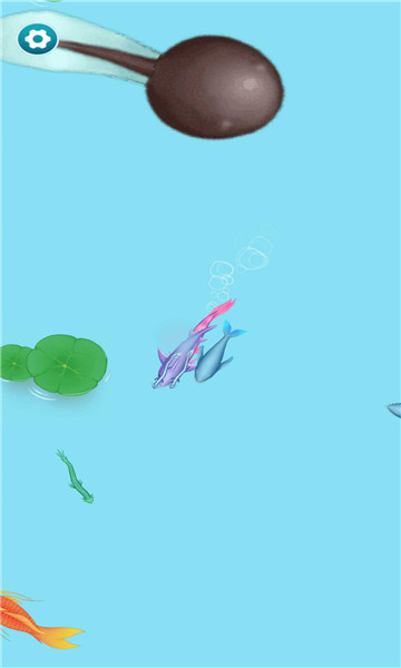 召唤神龙万宁版1