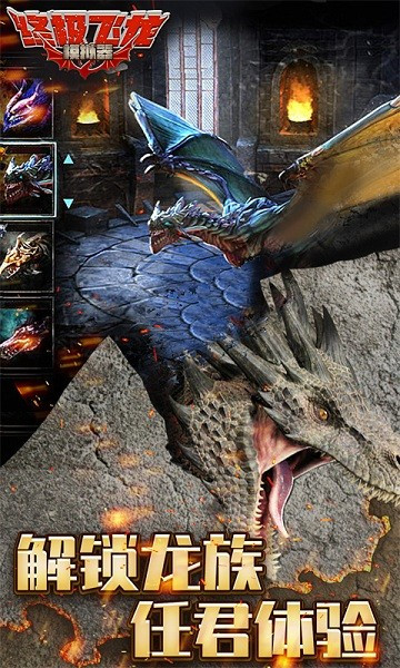 终极飞龙模拟器3