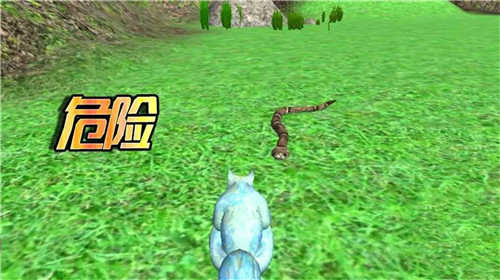 模拟松鼠大冒险5