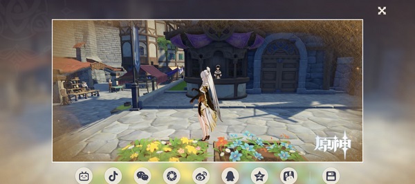 原神拍照时怎么改变姿势 更改拍照姿势方法