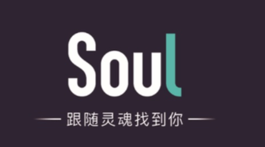 soul宠物星球怎么注销