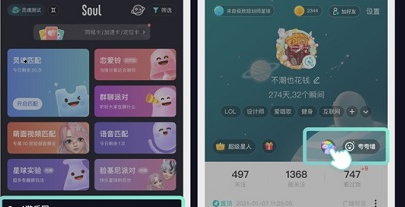 soul宠物可以关闭吗