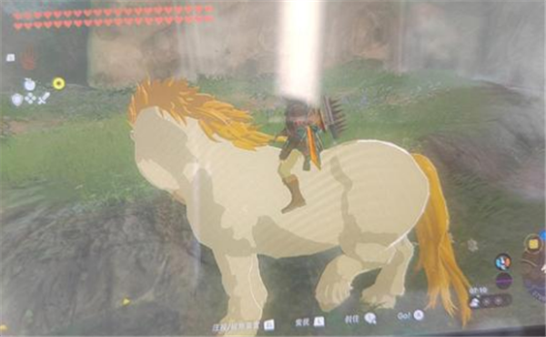 塞尔达传说王国之泪白色巨马怎么获得 白色巨马详细位置一览