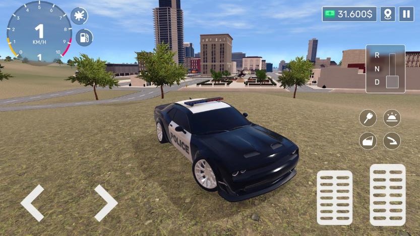 警察生活模拟器20242