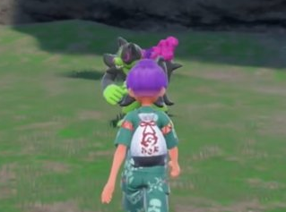 宝可梦朱紫怎么提升能力 宝可梦朱紫能力提升道具讲解