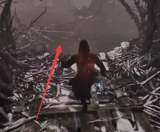 堕落之主溺水的哀求者怎么获取 堕落之主溺水的哀求者获得教程