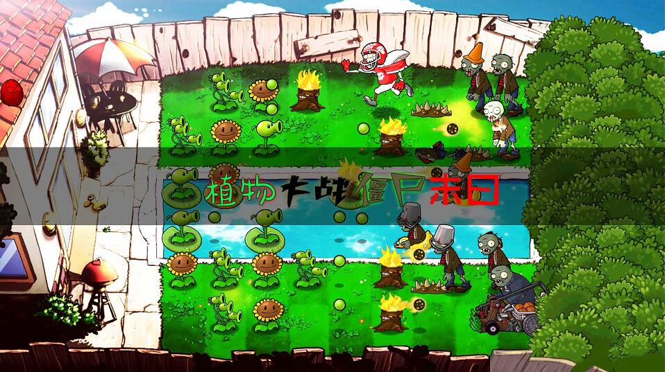 植物大战僵尸末日版2
