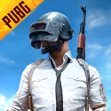 pubgmobile体验服手游
