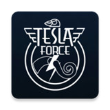 特斯拉战队