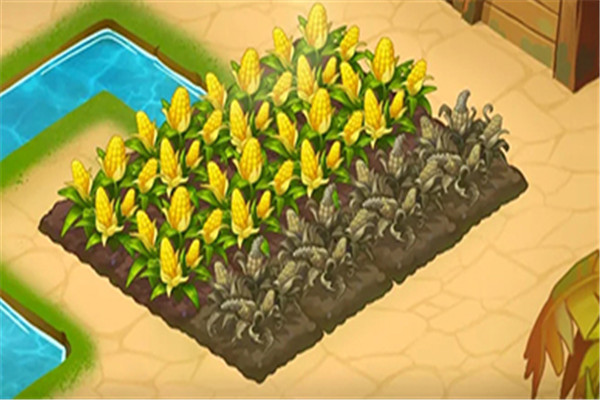 天堂岛农场冒险1