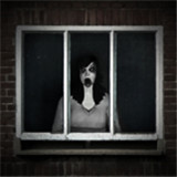 斯伦德里娜之谜