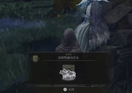 艾尔登法环三头狼用不了